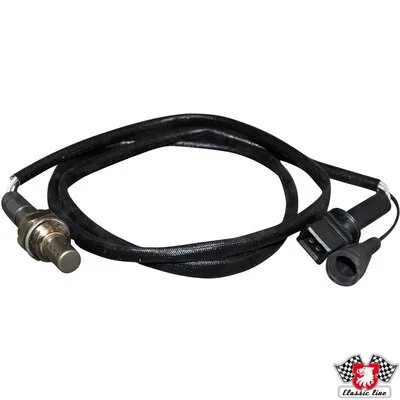 Oxygen Sensor